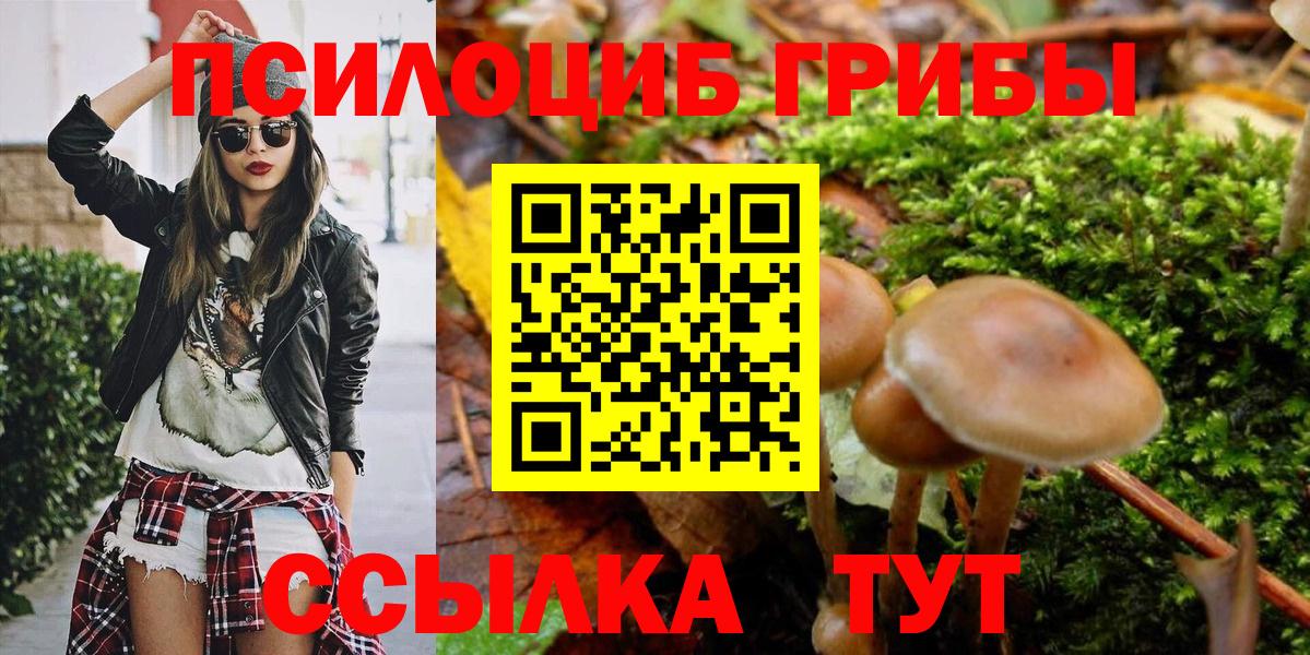 Псилоцибиновые грибы мухоморы Городец