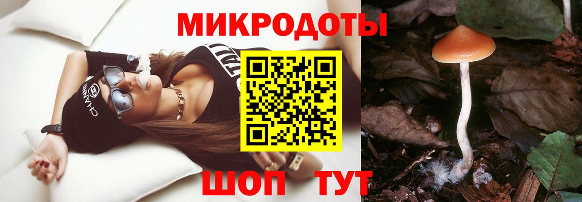 Галлюциногенные грибы прущие грибы  Вход с VPN  купить   Городец  Галлюциногенные грибы GOLDEN TEACHER 